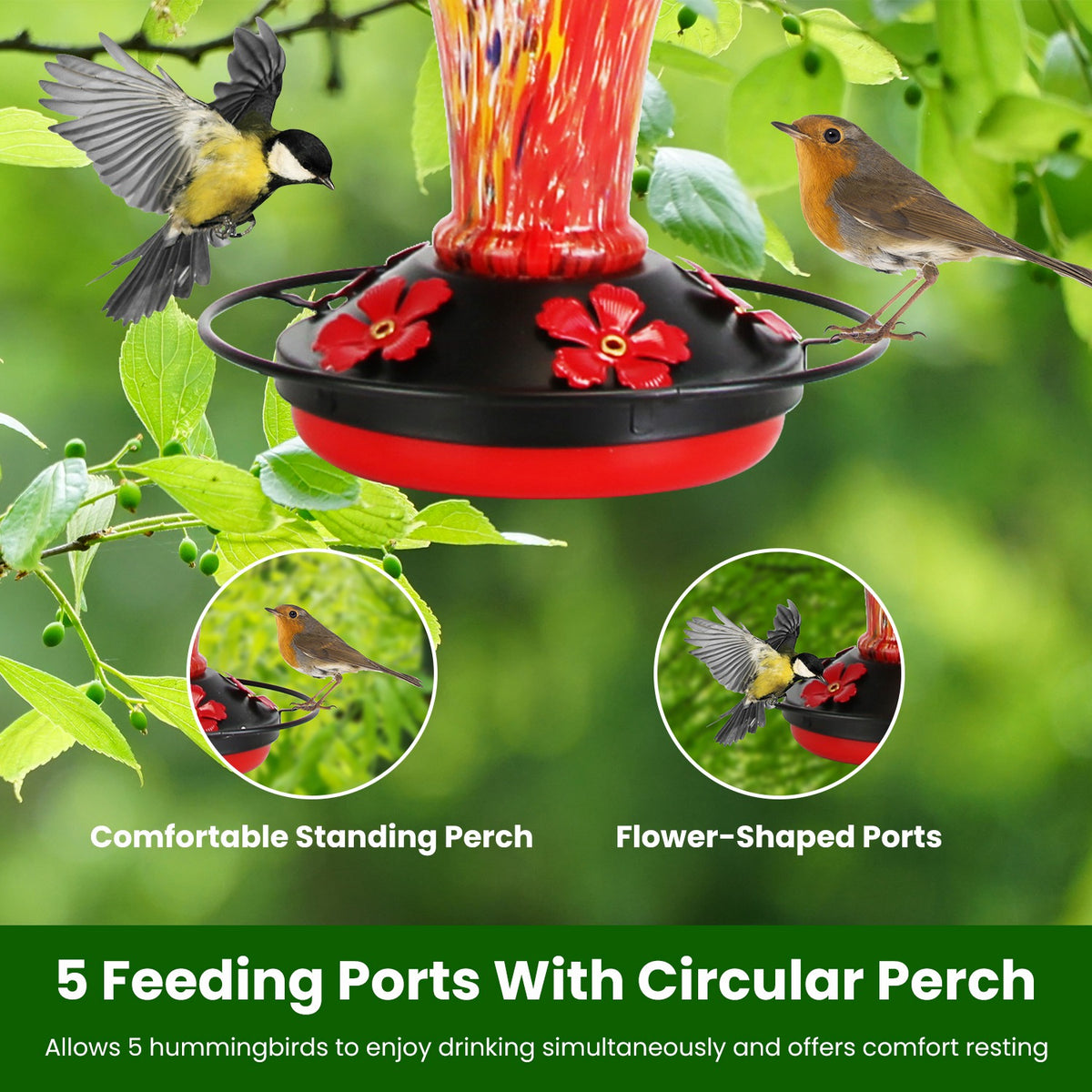 Hand Blown Glass Hummingbird Feeder, 33 oz With 5 Flower Feeding Ports, Perch, Ant Moat Hook and Cleaning Brush