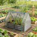 2-in-1 metal raised garden bed with clear greenhouse cover in a vegetable garden