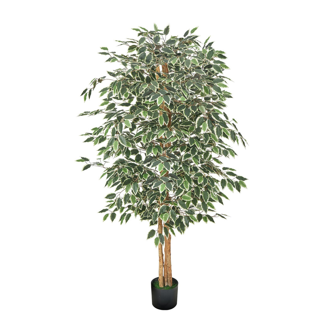 6 Ft Artificial Ficus Tree, Tall Faux Plant With Black Pot for Indoor Decor