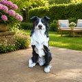 Border Collie Dog Statue, Black and White Resin Garden Greeter Sculpture, 17 in Tall Indoor Outdoor Decor