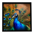 Peacock Framed Metal Wall Art, 8x8 Square Aluminum Print, Black Frame, Ready to Hang Decor