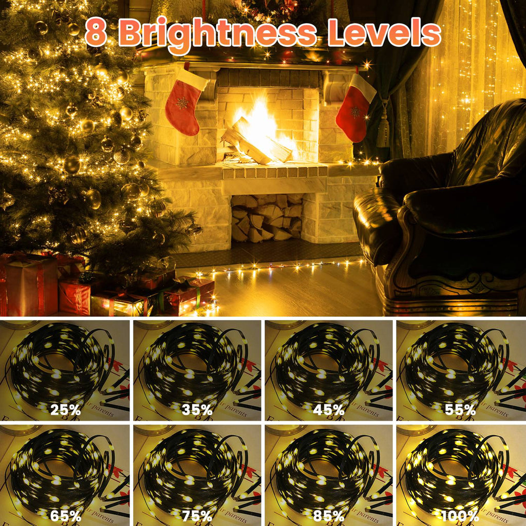 330 Ft String Lights with Remote, 1000 LED Outdoor Christmas Lights, 8 Modes, 8 Brightness Levels, Timer, Green Wire