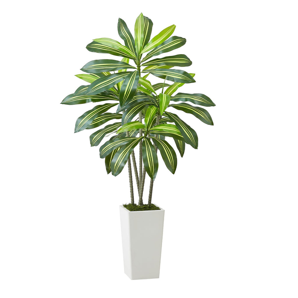 Artificial Dracaena Tree 5 Ft With White Tall Planter, Faux Tropical Palm Plant for Home and Office Decor