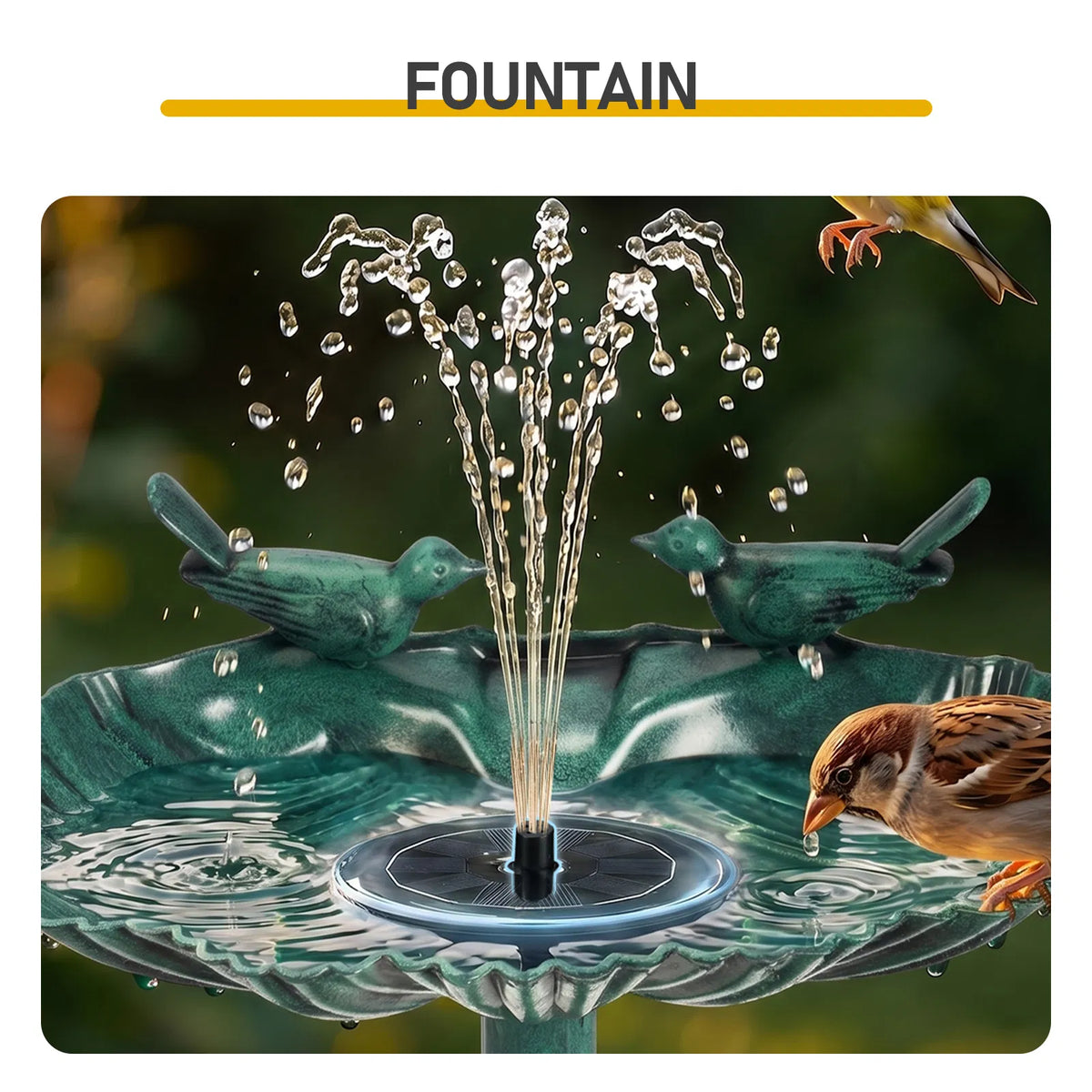 Resin Bird Bath With Solar Fountain, Dark Green Shell-Edge Basin on Pedestal, 1.4W Solar Pump, Outdoor Garden Decor