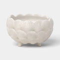 8-Inch Ceramic Clam Shell Planter, Ivory Scalloped Flower Pot With Drainage Hole and Bun Feet for Patio, Garden and Indoor Decor