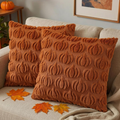 Pumpkin Throw Pillow Covers 18x18 Set of 2, Light Rust Faux Fur Fall Decor Cushion Cases with Velvet Back