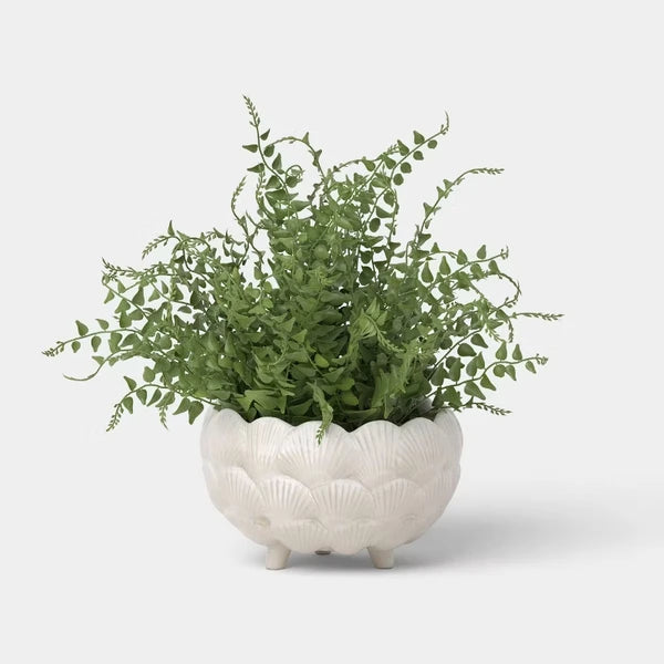 8-Inch Ceramic Clam Shell Planter, Ivory Scalloped Flower Pot With Drainage Hole and Bun Feet for Patio, Garden and Indoor Decor