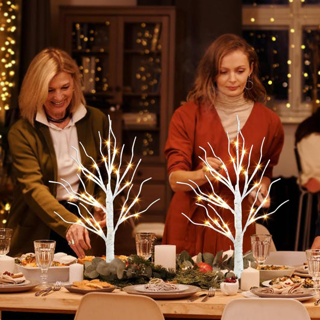 2 Ft Lighted Birch Tree With 24 Warm White LED Lights, White Battery Powered Tabletop Tree