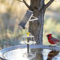 Solar Water Fountain Pump for Bird Bath, 6W Panel With Battery Backup, LED Lights, 3 Nozzles and 2-Tier Trays